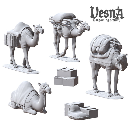 Set of 4 Camels with Packs