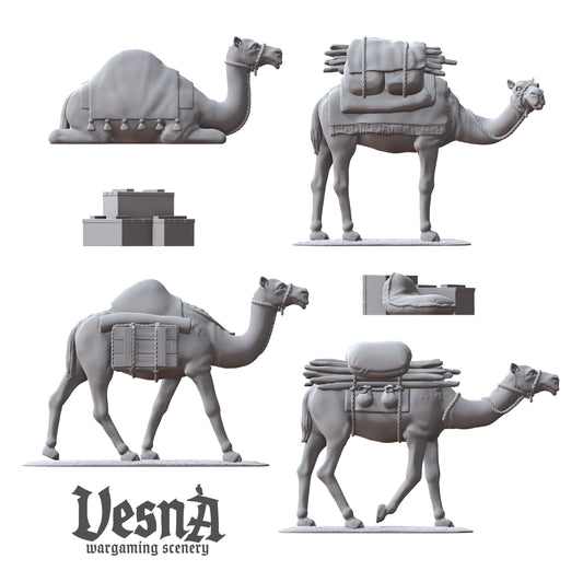 Set of 4 Camels with Packs