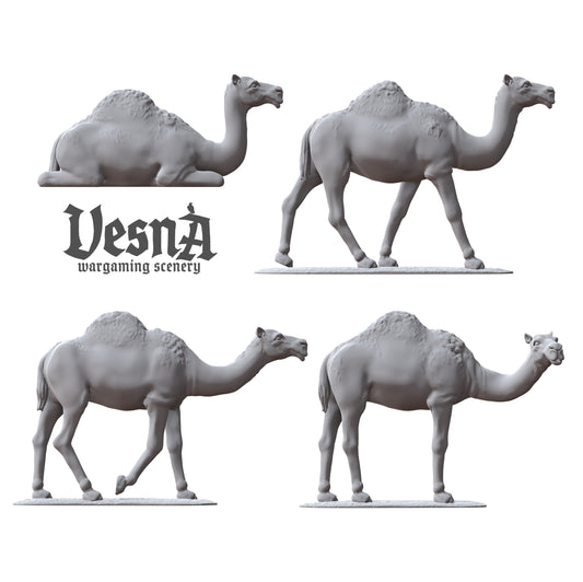 Set of 4 Camels
